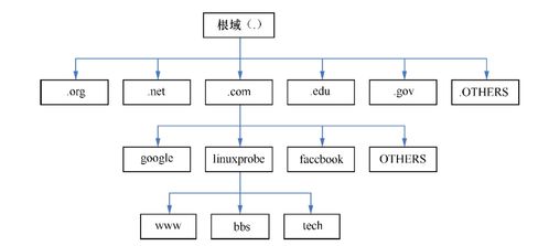 深入解析Linux網(wǎng)絡(luò)服務(wù) DNS服務(wù)詳解